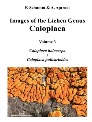 cover image of Images of the Lichen Genus Caloplaca, Vol 3